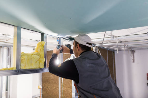 Best Insulation Materials and Products in New Franklin, MO